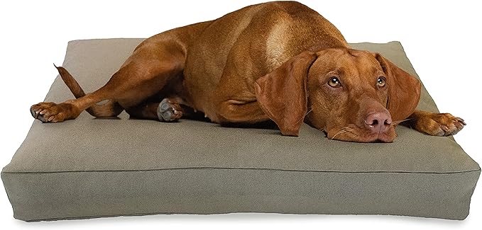 X-Large - 48 x 30 x 5 - Natural Premium Organic Hemp Dog Bed - Organic Latex Fill - Removeable Cover