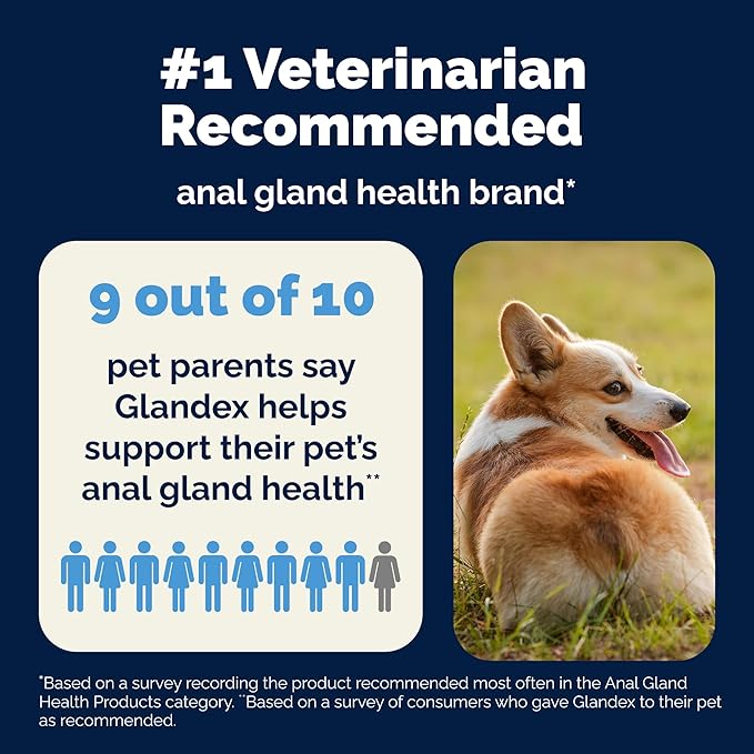 Vetnique Glandex Dog Fiber Supplement Powder for Anal Glands with Pumpkin, Digestive Enzymes & Probiotics - Vet Recommended (Regular or Advanced Strength) - Boot The Scoot (4.0 oz, Salmon)