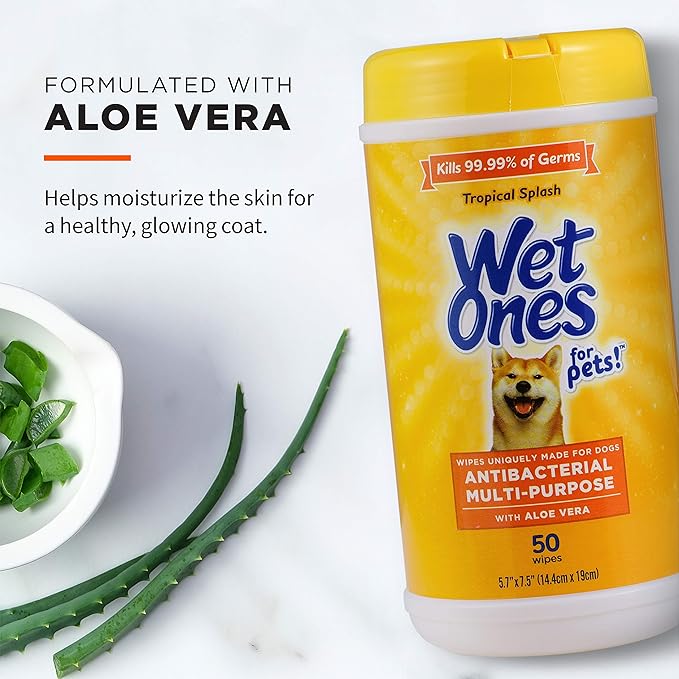 Wet Ones for Pets Antibacterial Dog Wipes, Multi-Purpose Grooming Wipes with Aloe Vera for Paws, Face & Body, Easy Cleanups Between Baths, Tropical Splash Scent, 5.7 in x 7.5 in, 50 Count - 12 Pack