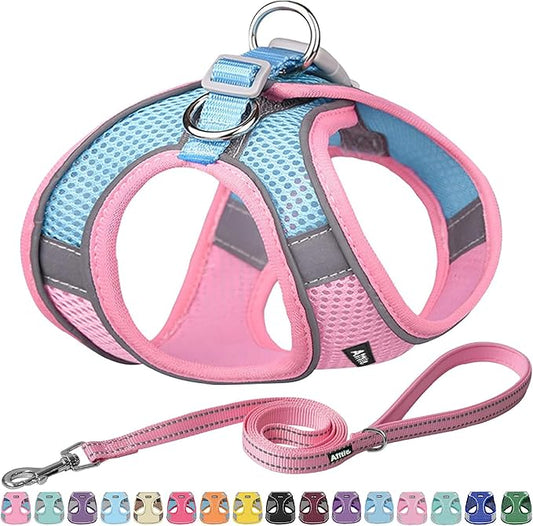 AIITLE Comfortable Dog Harness and Leash Set for Walking - Step in Vest Harness,Reflective Bands, Adjustable No Pull Puppy Essentials, for Small Dogs and House Cats Pink XS