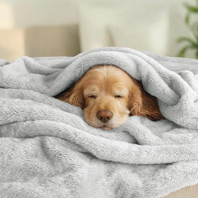 Exclusivo Mezcla Fuzzy Plush Fleece Bed Blanket King Size, Light Grey | 104x90 Inches, Super Soft and Cozy Bed Blanket, Fluffy Decorative Bedding for Livingroom, Bedroom, All Season