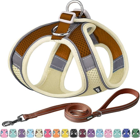 AIITLE Comfortable Dog Harness and Leash Set for Walking - Step in Vest Harness,Reflective Bands, Adjustable No Pull Puppy Essentials, for Small Dogs and House Cats Beige XS