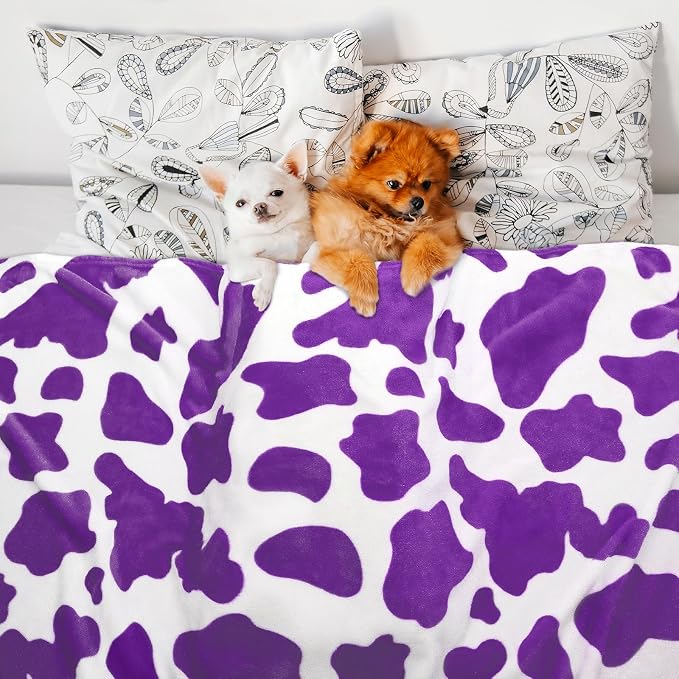 HSEEC Warm Blanket Purple Throw Blankets Fleece Blanket Soft for Bed