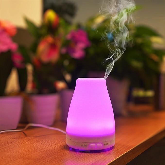 EcoGecko Aromatherapy Essential Oil Diffuser, Aroma Oil Diffuser Cool Mist Humidifier with Timer, 7 Color LED Lights, Auto Shut-Off for Home Bedroom Office
