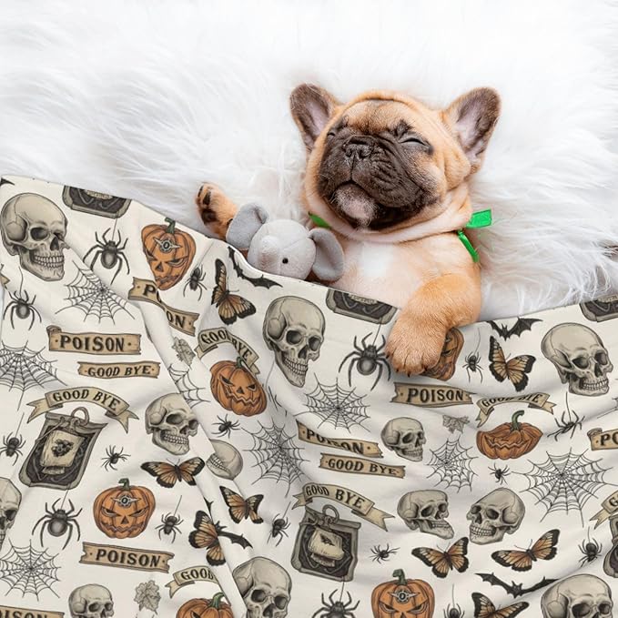 Double Sided Plush Pet Blanket for Small Large Animals, Vintage Skull Skeleton Spider Web Witch Board Gothic, Reversible Throw with Dimpled Dot Side and Flat Side for Kennels Living Rooms