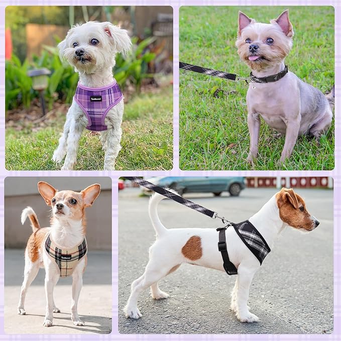 SCENEREAL No Pull Dog Harness Collar and Leash Set Small Medium Sized Dog, Soft Mesh Puppy Harnesses, No Chock Plaid Adjustable Pet Vest for Outdoor Walking Training and Running, Black S