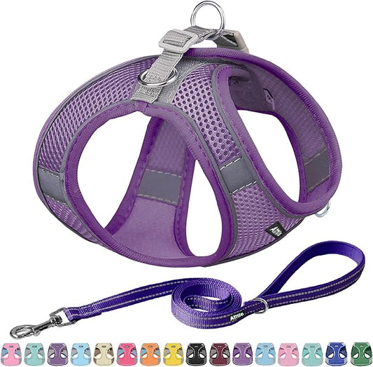 AIITLE Comfortable Dog Harness and Leash Set for Walking - Step in Vest Harness,Reflective Bands, Adjustable No Pull Puppy Essentials, for Small Dogs and House Cats Pure Purple XS