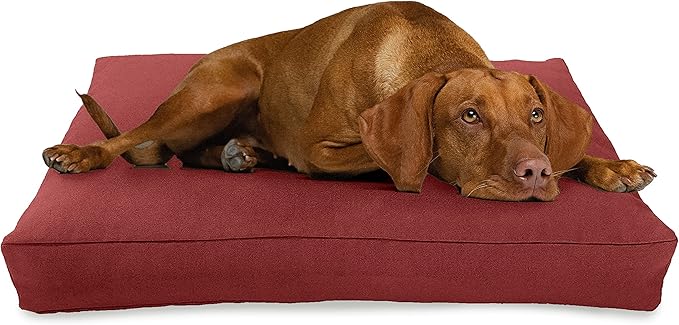 Large - 42 x 28 x 5 - Cranberry Premium Organic Hemp Dog Bed - Organic Latex Fill - Removeable Cover