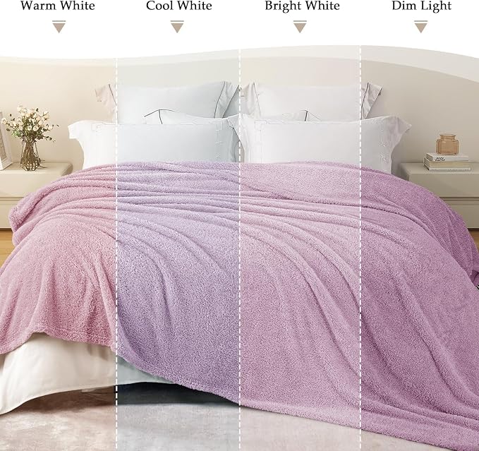 Exclusivo Mezcla Fleece Bed Blankets Queen Size for Bed, 90" x 90" | Super Soft and Cozy Fluffy Blanket for Women, Lightweight and Fuzzy Bedding for Bedroom , All Season, Light Purple