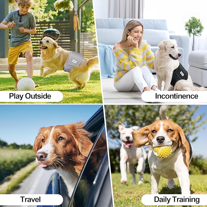 Washable Male Dog Diapers Reusable, Premium Belly Bands for Male Dogs, Pack of 3, High Absorbing Extra Small Male Dog Pee Wraps for Doggie in Incontinence or Excitable Urination and Training(XS)