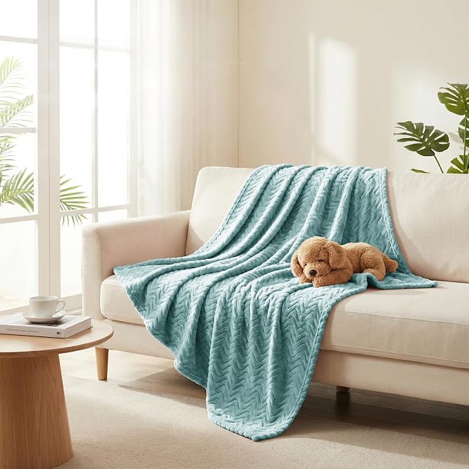 Exclusivo Mezcla Soft Fleece Blanket Twin Size for Bed, Sofa, Celadon | 90"x66" Breathable Lightweight Flannel Blanket for Summer, Plush Cozy Jacquard Wave for Home Decor