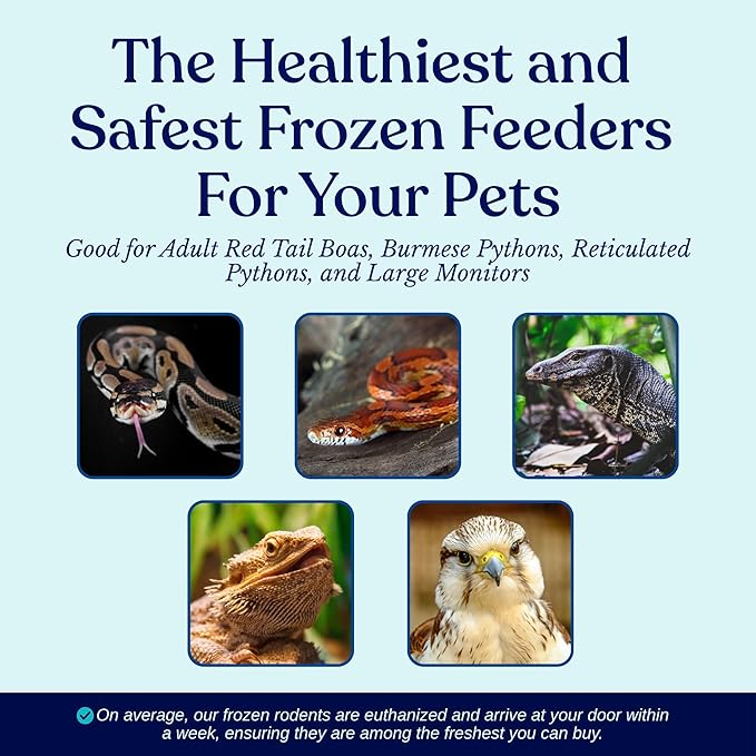 MiceDirect EST. 2003 15 Premium Frozen Large Feeders Snake Food for Juvenile Ball Pythons Monitors Lizards (8-9 in)(2625 Grams Min)