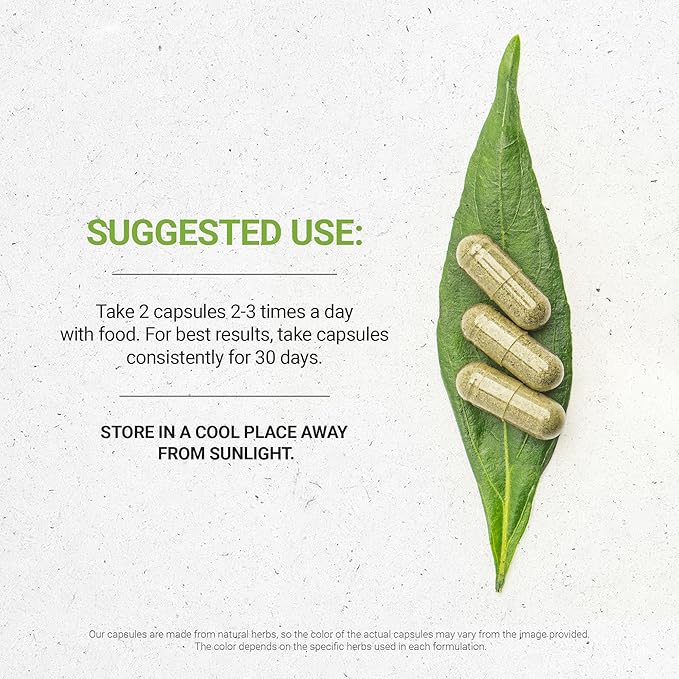 Secrets of the Tribe Lemon Balm 60 Capsules, 1000 mg, Lemon Balm (Melissa officinalis) Dried Leaf (60 Capsules)