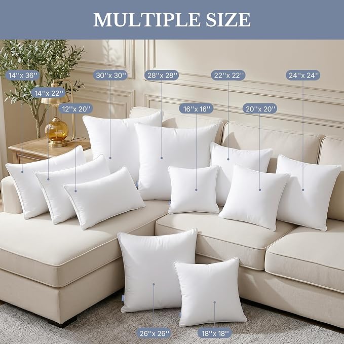 Leeden 30 x 30 Throw Pillow Inserts Set of 2, Fluffy Euro Pillows | Fluffy & Firm Down Alternative Euro Pillow Inserts with 100% Cotton Cover, Soft Square Pillow Forms for Couch & Living Room