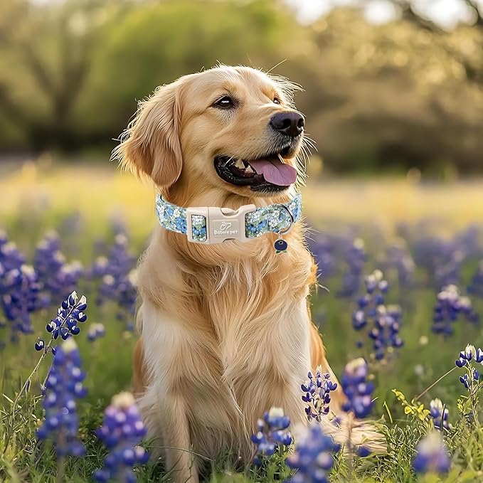 Blueberry Pattern Dog Collar, Cute Light Blue Spring Summer Puppy Collar - Soft Adjustable Designer Dog Collars for Small Medium Large Dogs M
