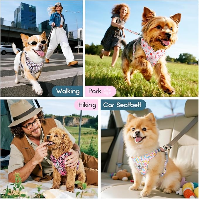 Pawaboo Small Dog Harness and Leash Set, Puppy Harness X-Frame No Pull No Choke, Dog Vest Harnesses Adjustable for Small Medium Sized Dogs,Soft Breathable Pet Harnesses for Walking, M, Pink Flowers