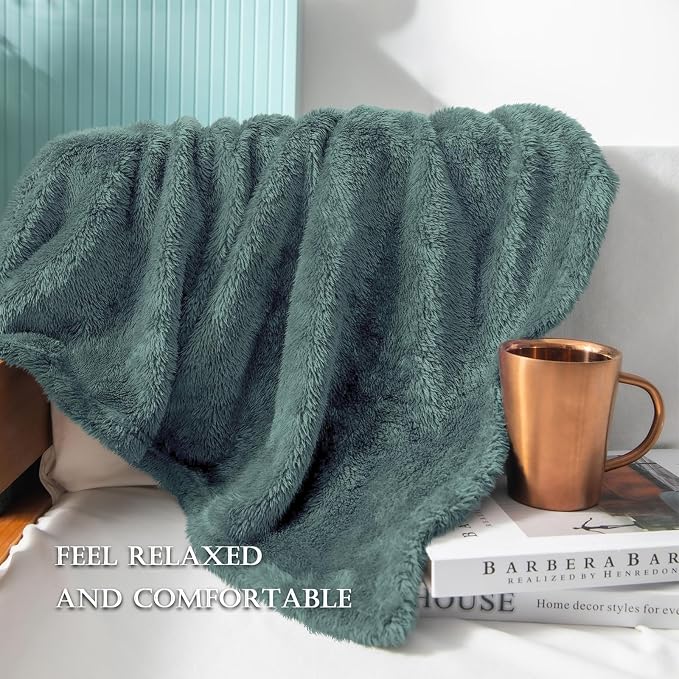 Exclusivo Mezcla Fuzzy Large Fleece Throw Blanket for Couch, Celadon | 50x70 Inches, Super Soft and Cozy Throw, Plush Fluffy Blanket for Sofa, Bed, Bedroom, Home Decor, All Season