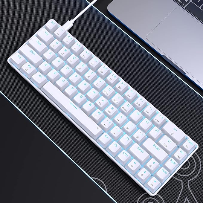 DIERYA T68SE 60% Gaming Mechanical Keyboard,Ultra Compact Mini 68 Key with Brown Switch Wired Keyboard,Anti-Ghosting Keys, for Windows Laptops and PC Gamers,White