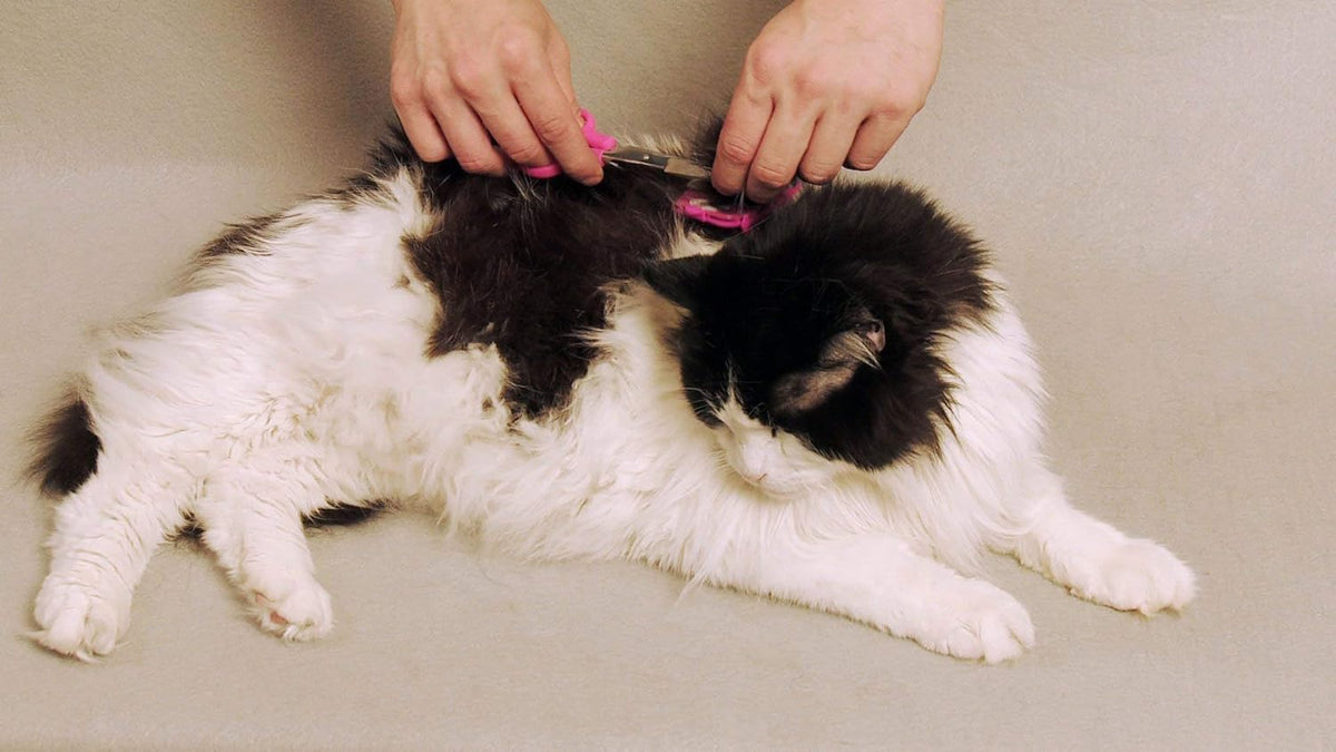 Silent Pet Grooming Kit for Dog, Cat and All Pet Grooming - A Quiet Alternative to Electric Clippers for Sensitive Pets (Left-Handed Pink)