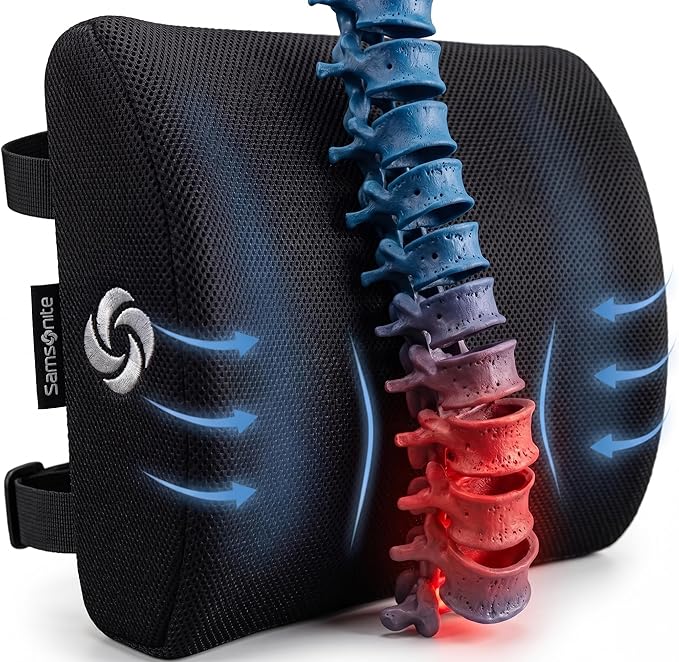 Samsonite Lumbar Support Pillow for Office Chair, Lower Back Support for Car, Back Pillow Desk Chair Cushion with Memory Foam, Improved Posture Backrest