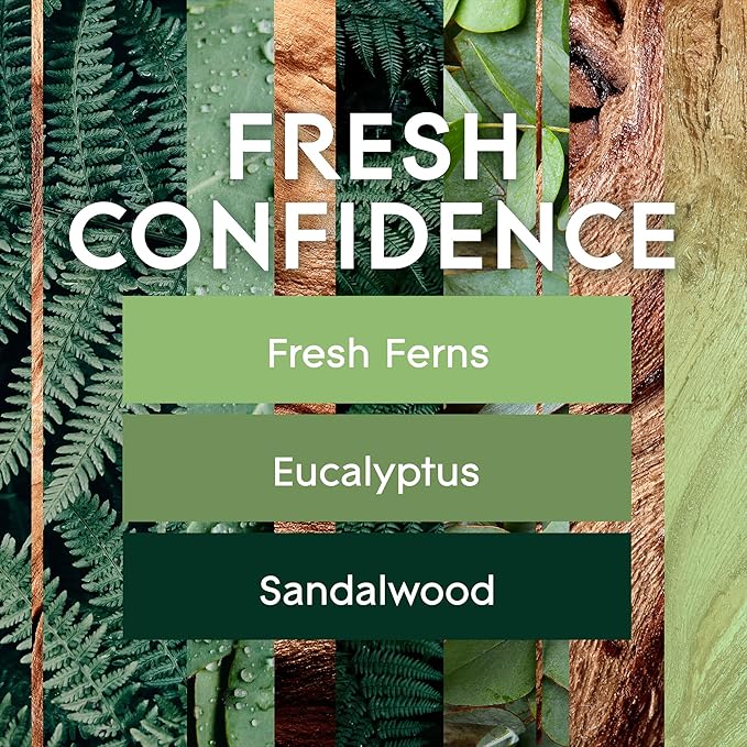 Glade Automatic Spray Refill, Fresh Confidence, Scented Air Freshener for Home and Bathroom, 6.2 Oz