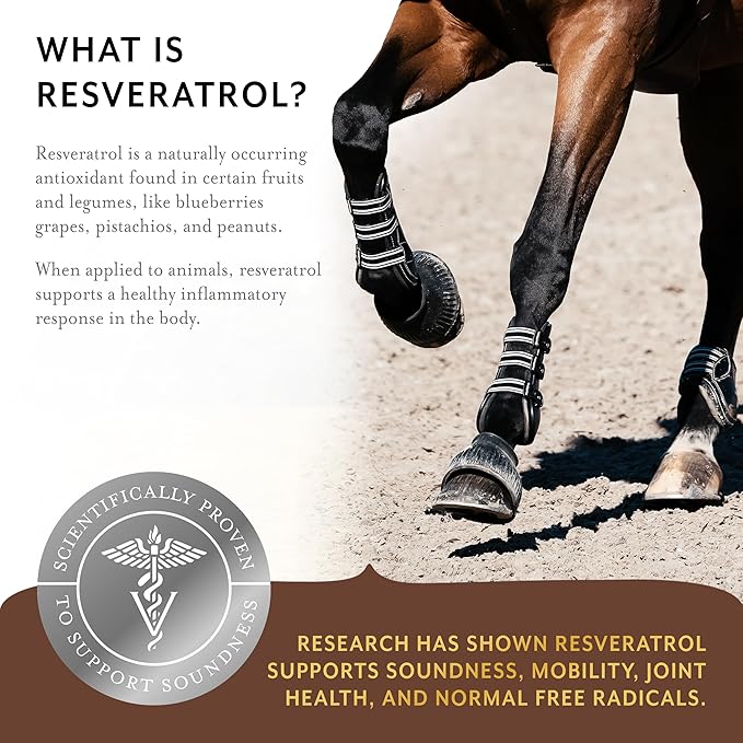 Equithrive Original Joint Supplement Powder with Resveratrol and Hyaluronic Acid for Horses, Equine Care, Molasses Flavor, 2 lbs