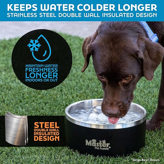Master Pet Supply Stainless Steel Dog Bowls - 32 oz, Heavy Duty - Mango Tango, Double Wall Extra-Thick Insulated, Non-Slip Pet Water Bowl for Dogs, Cats & Pets, Anti Rust Metal, Dish Washer Safe