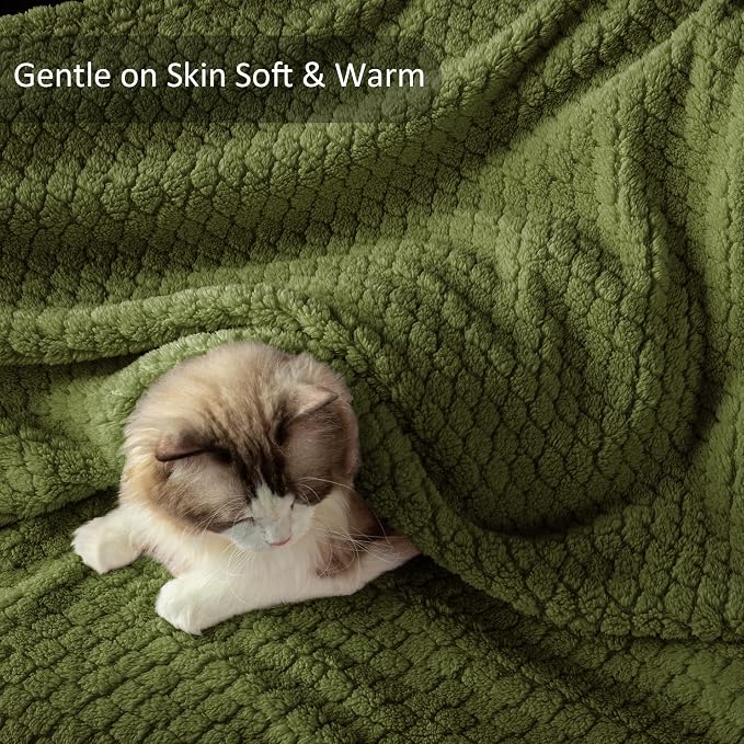 Exclusivo Mezcla Soft Fleece Twin Size Blanket for Bed, Olive Green | Jacquard Lightweight Cozy Bed Blanket, Breathable Decorative Fuzzy Textured All Season Use, 60x80 Inches
