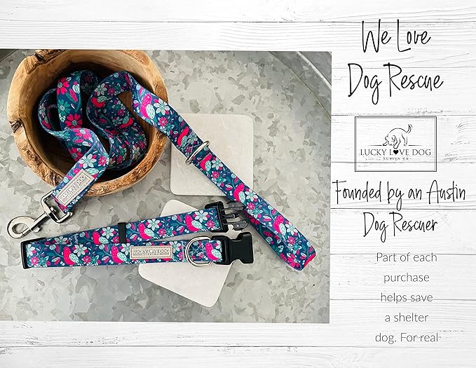 Lucky Love Dog - Adjustable Dog Collar with Easy Click Buckle for Small Ones, Durable, & Comfortable for Male & Female Dogs, Pet Collar for Puppies & Adult Dogs - Carriebelle, XS