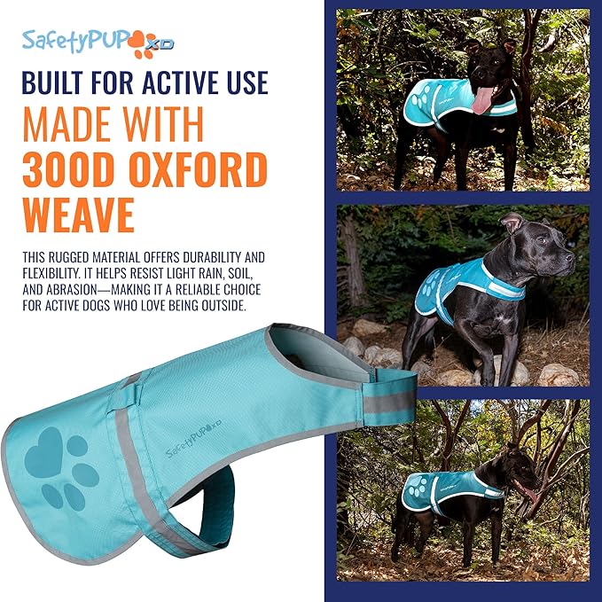 Dog Reflective Vest – Hi-Vis Fluorescent Visibility That Helps to Safeguard Your Pet On/Off Leash in Urban & Rural Areas (Teal, Medium)
