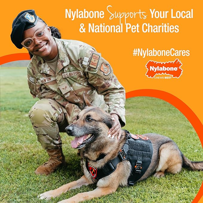 Nylabone Healthy Edibles Natural Dog Chews, Long Lasting Bones for Dogs, Chicken Flavor Dog Treats, Small (3 Count)