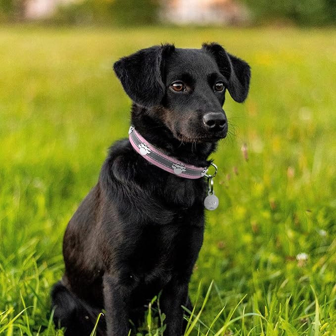 PETCARE Reflective Dog Collar with Cute Paw Rivet Studded Funny Soft PU Leather Adjustable Puppy Dog Collars for Small Medium Large Dogs Cats (Pink,Large)