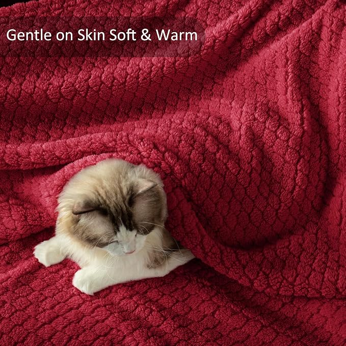 Exclusivo Mezcla Soft Fleece Twin Size Blanket for Bed, Deep Red | Jacquard Lightweight Cozy Bed Blanket, Breathable Decorative Fuzzy Textured All Season Use, 60x80 Inches