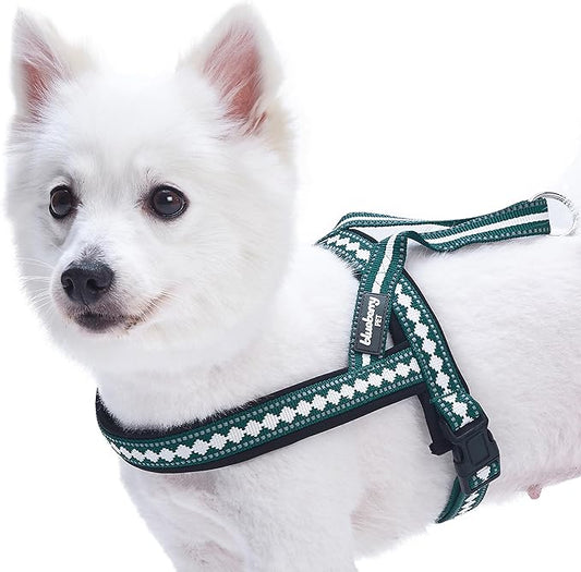 Blueberry Pet 6 Colors Soft & Comfy Jacquard Padded Dog Harness, Chest Girth 21.5" - 27.5", Teal Blue, S/M, Reflective Adjustable Harnesses for Dogs