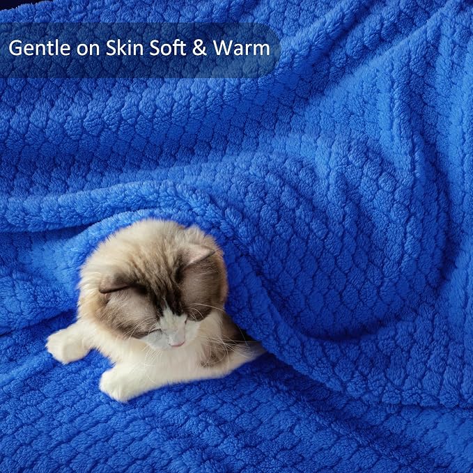 Exclusivo Mezcla Soft Fleece Twin Size Blanket for Bed, Cobalt Blue | Jacquard Lightweight Cozy Bed Blanket, Breathable Decorative Fuzzy Textured All Season Use, 60x80 Inches