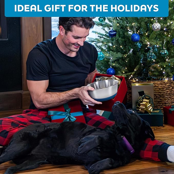 Master Pet Supply Stainless Steel Dog Bowls Set of 2 with Extra Thick Silicone Base - 8 Cup (64 oz) True Blue, Non-Slip, Dishwasher Safe Metal Bowls, Pet Dog Food Bowl for Dogs, Cats, Anti Rust