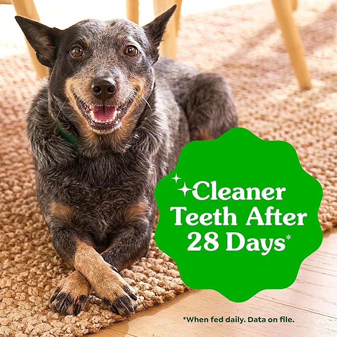 Greenies Veterinarian-Recommended Adult Natural Dental Dog Treats Petite Size, Blueberry Flavor, 12 oz. Pack, 20 Count