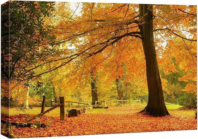 wall26 Canvas Print Wall Art Yellow & Orange Autumn and Fall Forest Floral Nature Photography Realism Rustic Scenic Relax/Calm Multicolor for Living Room, Bedroom, Office - 12"x18"