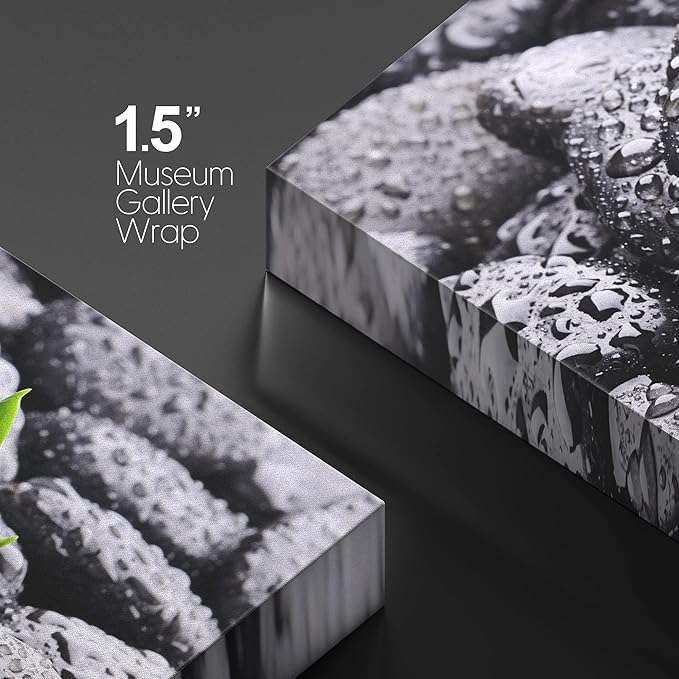 wall26 Canvas Print Wall Art Raindrops on Black Rocks with Sprouting Plant Floral Nature Photography Realism Bohemian Scenic Relax/Calm Cool for Living Room, Bedroom, Office - 12"x18"