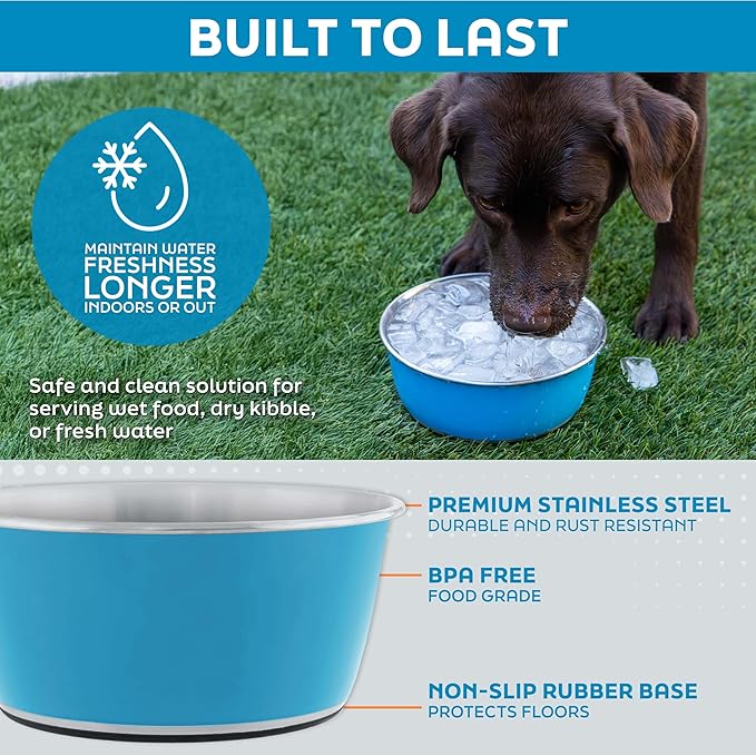 Master Pet Supply Stainless Steel Dog Bowls Set of 2 (32 Oz Each) with Non-Slip Rubber Base - Pistachio - Basic Dog Food Bowl Water & Food Bowls for Small Medium Large Dogs & Cats, Metal Dish