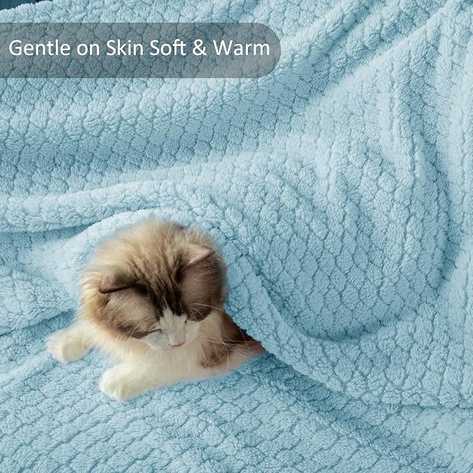 Exclusivo Mezcla Soft Fleece Throw Blanket for Couch, Light Blue | Jacquard Lightweight Cozy Throws for Bed, Sofa, Breathable Decorative Fuzzy Textured All Season Use, 50x60 Inches