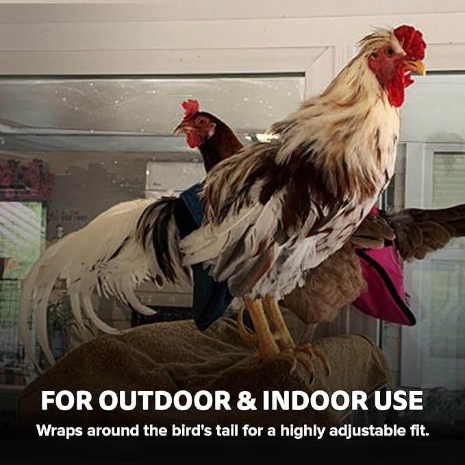 Hen Holster Wrap-Around Bird Diaper & Harness for Hens, Roosters, Ducks - with Removable Vinyl Liner, Adjustable Fit for Outdoor Adventures & Indoor Use - Easy to wear - XL, Red Bandana