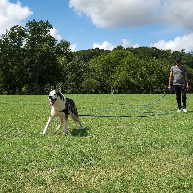 Hi Kiss Dog/Puppy Obedience Recall Training Agility Lead - 15ft 20ft 30ft 50ft 100ft Training Leash - Great for Training, Play, Camping, or Backyard (30 Feet, Red)