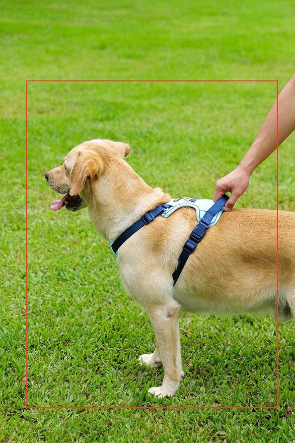 3 in 1 No Pull Dog Harness Leash and Collar Set, Soft Adjustable Dogs Vest Reflective and Comfortable Handle Blue Medium