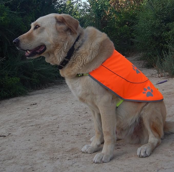 Dog Reflective Vest - Comfortable Jacket Safety Hunting, High Visibility for Dogs with Elastic Straps and Clasp Closure- Yellow, XX-Large