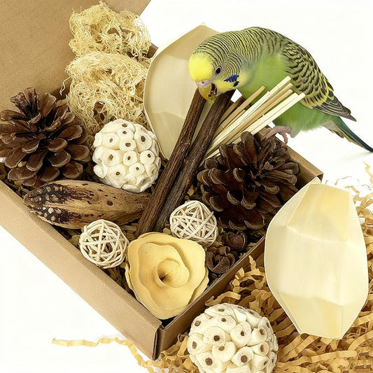Bird Toys - Sola Ball Foraging Box, 10 Natural Ingredients | Chewing and Shredding Parrot Toys | Ideal for Parakeets/Cockatiels/Conures/Lovebirds and Small to Medium Birds