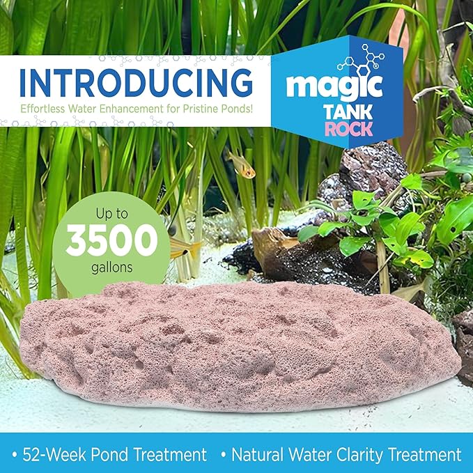 Fish Tank Rocks for Enhancing Water Clarity with Your Regular Cleaning Routine, Fish Friendly Aquarium Rocks, All Natural Aquarium Decor, Small, Up to 750 Gallons