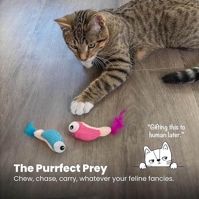 Catstages Catstages Dental Shrimpies Cat Toys, 2-pack – Interactive Catnip Dental Chew Toy to Help Clean Teeth, Fun for Play and Chewing, Multicolored