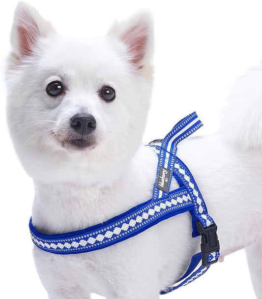 Blueberry Pet 4 Colors Soft & Comfy 3M Reflective Jacquard Padded Dog Harness, Chest Girth 21.5" - 27.5", Palace Blue, S/M, Adjustable Harnesses for Dogs