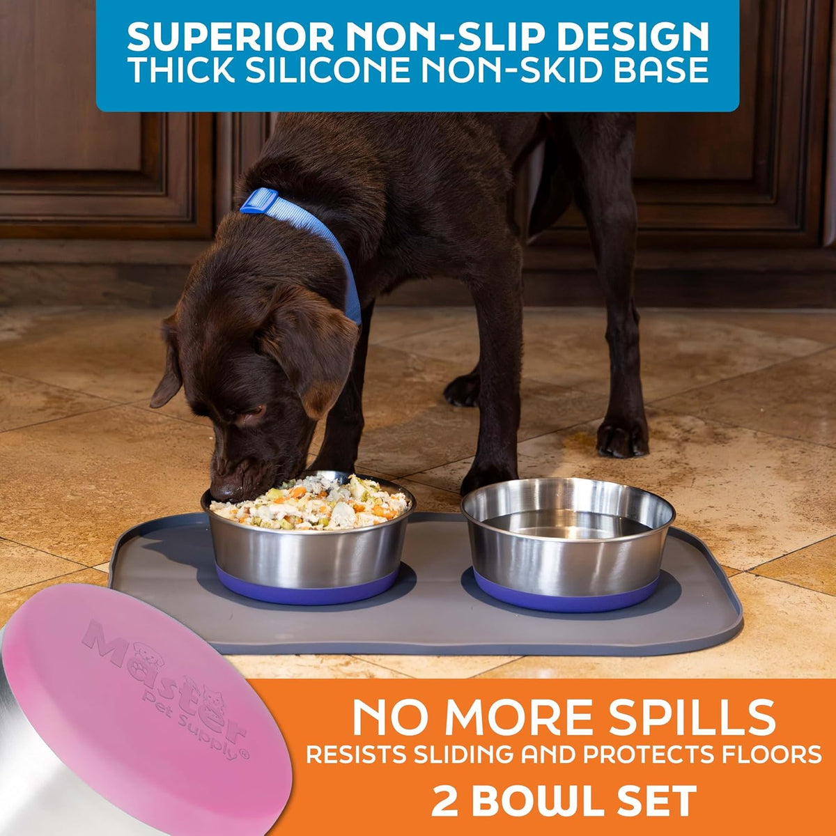 Stainless Steel Dog Bowls - 8 Cup (64 oz) - Hyper Pink